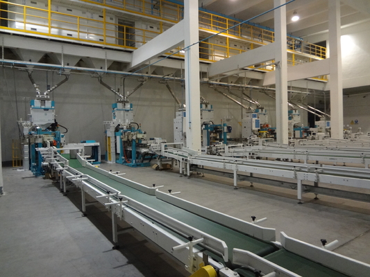 Servo Motion มัลติฟังก์ชั่นสายการบรรจุอัตโนมัติ Converying Robot Palletzing System